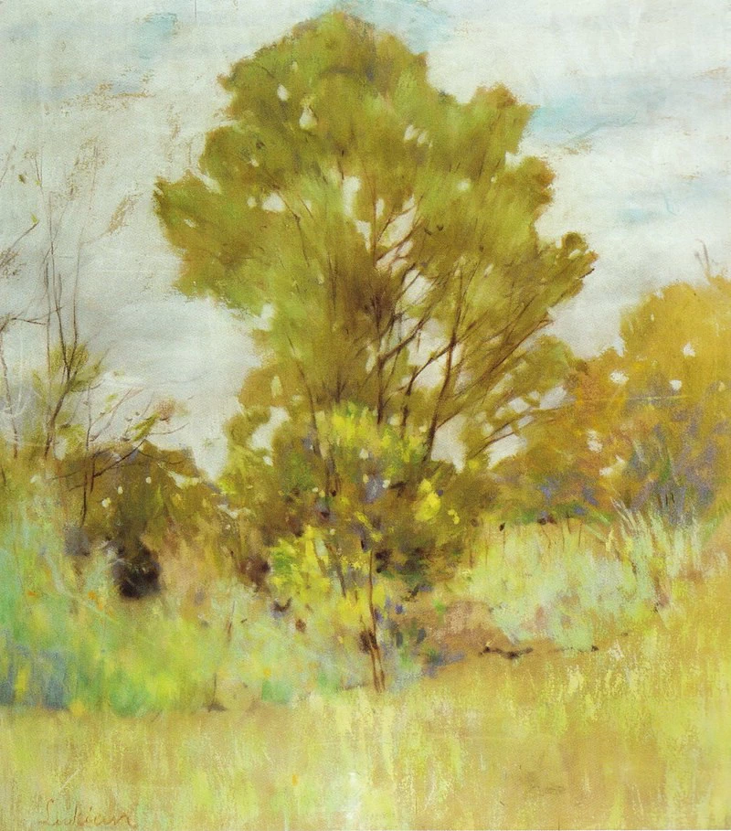 Paesaggio con albero